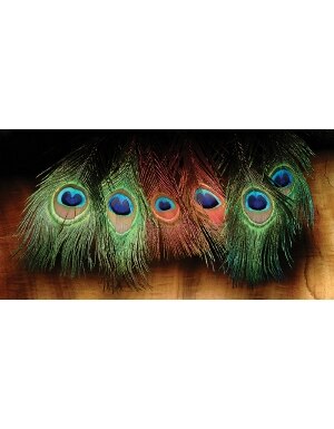 Hareline Dubbin Peacock Eyed Sticks in Red